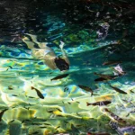 Setor de hospedagem em Mato Grosso cresce e impulsiona o turismo local