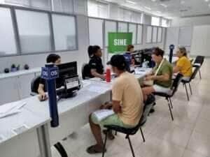 SINE Sinop disponibiliza mais de 260 vagas de emprego
