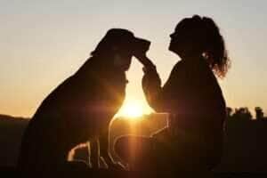 Terapia com animais auxilia na recuperação de pacientes