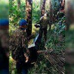 Tragédia no Pantanal