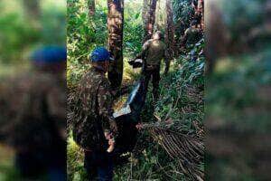 Tragédia no Pantanal