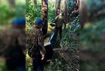 Tragédia no Pantanal