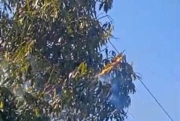 Morador quase é eletrocutado ao podar árvore em área rural de Lucas do Rio Verde