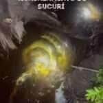 Durante passeio, visitantes presenciam a dança do amor entre gigantes das águas — uma sucuri fêmea e um macho em pleno ritual de acasalamento 