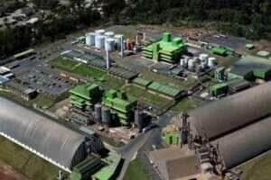 Produção agroindustrial recua em julho e expõe perda de dinamismo no setor
