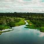 Brasília (DF), 19/04/2025 - Área de proteção no Pará terá trilha ecológica e turismo de base comunitária Foto: Armando Leandro Ribeiro da Silva/Divulgação