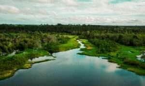 Brasília (DF), 19/04/2025 - Área de proteção no Pará terá trilha ecológica e turismo de base comunitária Foto: Armando Leandro Ribeiro da Silva/Divulgação