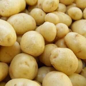 Com preço baixo da batata, produtividade recorde ‘salva a lavoura’ em 2025