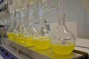 Biocombustível como vetor de descarbonização é pauta de debate na AgriZone