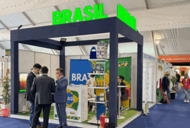 Brasil amplia presença no agronegócio africano com participação na SIAM 2025, no Marrocos