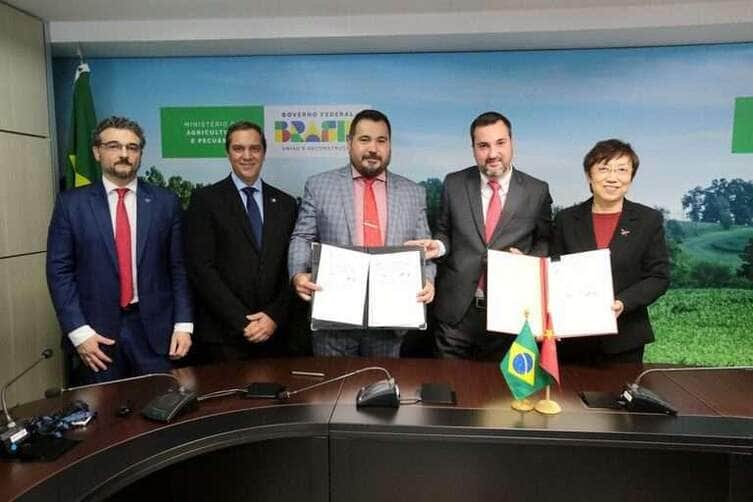 Brasil e China assinam protocolo para abertura de mercado de pesca extrativa -