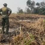 Amazônia-11/12/2024 Amazônia tem o maior número de queimadas e incêndios em 17 anos.  Foto:  Agência Santarém.