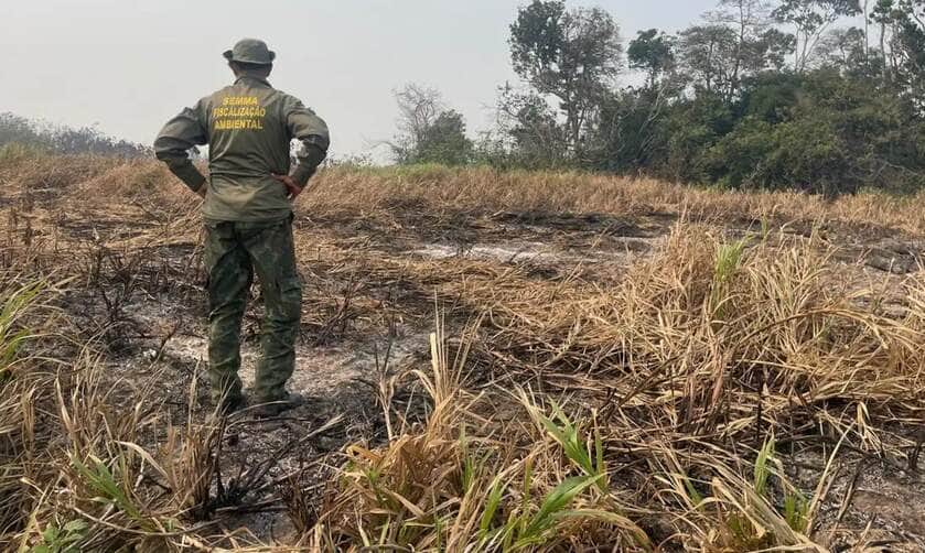 Amazônia-11/12/2024 Amazônia tem o maior número de queimadas e incêndios em 17 anos. Foto: Agência Santarém.
