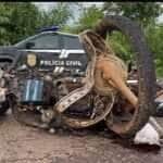 Condutor do caminhão relatou que motociclista fazia "zig-zag" na pista antes do impacto; vítima usava tornozeleira eletrônica e não possuía CNH