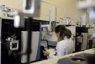 Com investimento de R$ 4 bi, Governo concedeu mais de 195 mil bolsas de estudo em 2024 - Tânia Rêgo/Agência Brasil