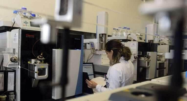 Com investimento de R$ 4 bi, Governo concedeu mais de 195 mil bolsas de estudo em 2024 - Tânia Rêgo/Agência Brasil