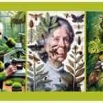 São Paulo (SP), 16/04/2025 - IA exposição Venenosas, Nocivas e Suspeitas está em cartaz na Galeria de Fotos do Centro Cultural Fiesp, na capital paulista, com entrada gratuita, até o próximo domingo (20).

Por meio da inteligência artificial, a artista visual Giselle Beiguelman criou obras que relacionam plantas proibidas ou estigmatizadas pelo colonialismo, por razões como o uso em rituais ou por seus poderes afrodisíacos e alucinógenos para as mulheres que dominavam o seu uso.
Retatos feitos através IA/Giselle Beiguelman