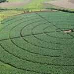 Governo Federal lança plano integrado para desenvolvimento dos polos de irrigação -