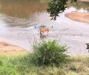 O lado materno da rainha da savana em um momento raro de descontração