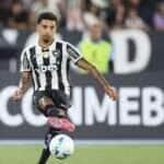 botafogo, libertadores, futebol