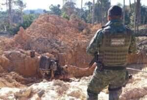 Homem é detido por crime ambiental em Barra do Garças