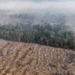 Desmatamento Amazônia - Porto Velho (RO). Foto:  Marizilda Cruppe / Greenpeace