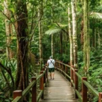 Mato Grosso conquista destaque mundial com turismo de aves e vida selvagem