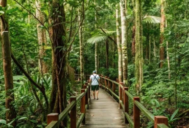 Mato Grosso conquista destaque mundial com turismo de aves e vida selvagem