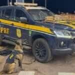 Droga estava na bagagem de passageira e teria saído de Mato Grosso do Sul com destino a Mato Grosso