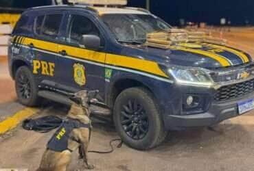 Droga estava na bagagem de passageira e teria saído de Mato Grosso do Sul com destino a Mato Grosso