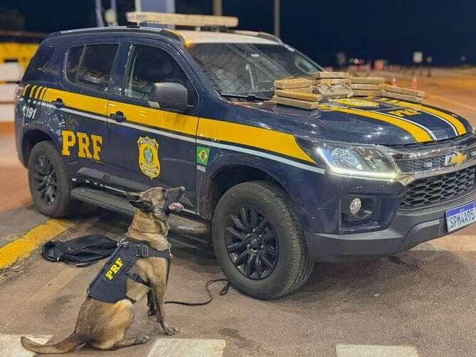 Droga estava na bagagem de passageira e teria saído de Mato Grosso do Sul com destino a Mato Grosso