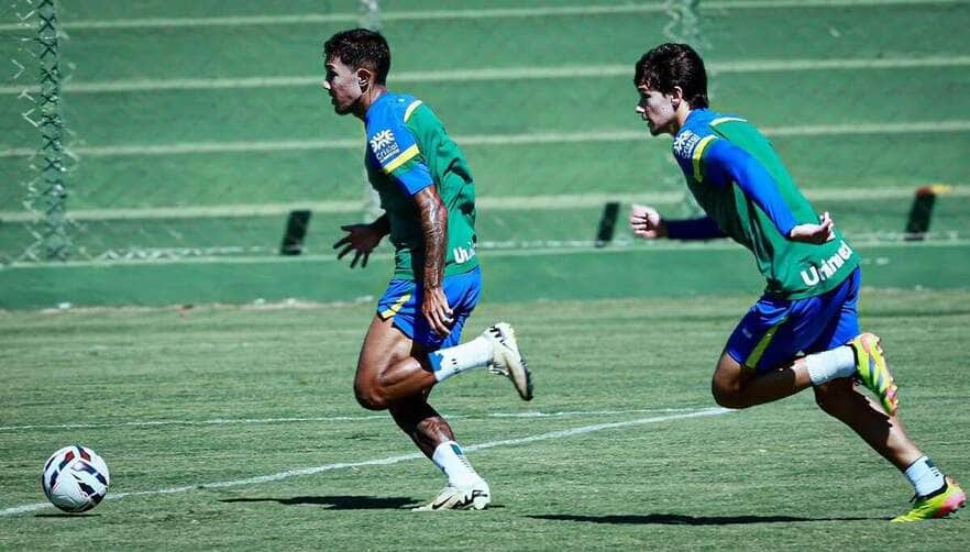 Goiás x Avaí: Onde assistir, momento das equipes e escalações para o duelo da Série B. Imagem: Divulgação Goiás