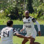 Paysandu x Criciúma: onde assistir, prováveis escalações e detalhes do duelo da Série B. Imagem: Divulgação Paysandu