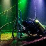 Aquário Municipal de Cuiabá mantém limpeza e cuidados com apoio dos Bombeiros