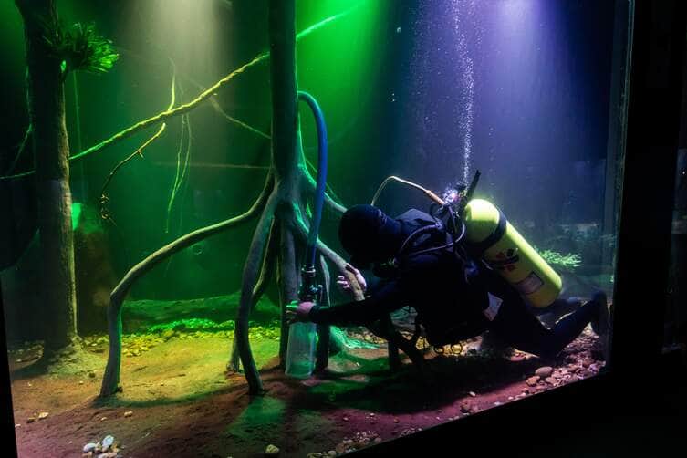 Aquário Municipal de Cuiabá mantém limpeza e cuidados com apoio dos Bombeiros