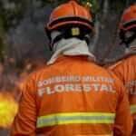 Bombeiros de Mato Grosso têm até hoje para se inscrever em curso de Combate a Incêndios Florestais