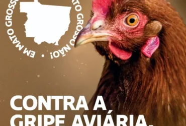 Captura de tela 2025 05 16 092700 -CenárioMT