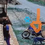 Enquanto o entregador chamava o cliente, o espertinho de quatro patas aproveitou o vacilo e fugiu tranquilamente com o almoço – cena viraliza e conquista a internet.