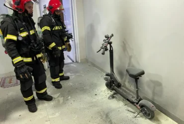 Bombeiros resgatam porco-do-mato e cadela em cidades de Mato Grosso