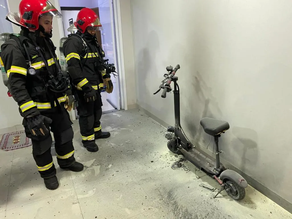 Bombeiros resgatam porco-do-mato e cadela em cidades de Mato Grosso