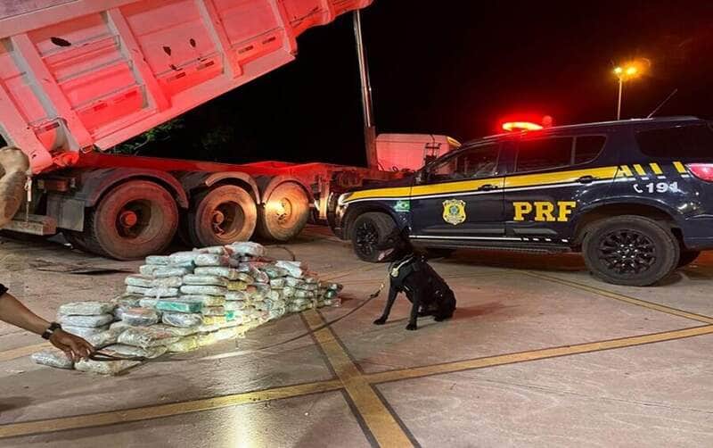 PRF apreende quase 200 tabletes de skunk em caminhão no Mato Grosso