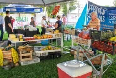E uma grande oportunidade para nos diz expositor na Feira da Familia em Varzea Grande -CenárioMT