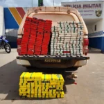 Apreensão de cocaína causa prejuízo milionário a facções em MT