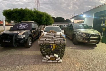 Polícia intercepta veículo com drogas e aplica prejuízo milionário ao crime organizado em Mato Grosso