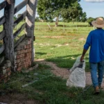 Apoio à agricultura familiar é reforçado com investimentos de R$ 705 milhões em Mato Grosso