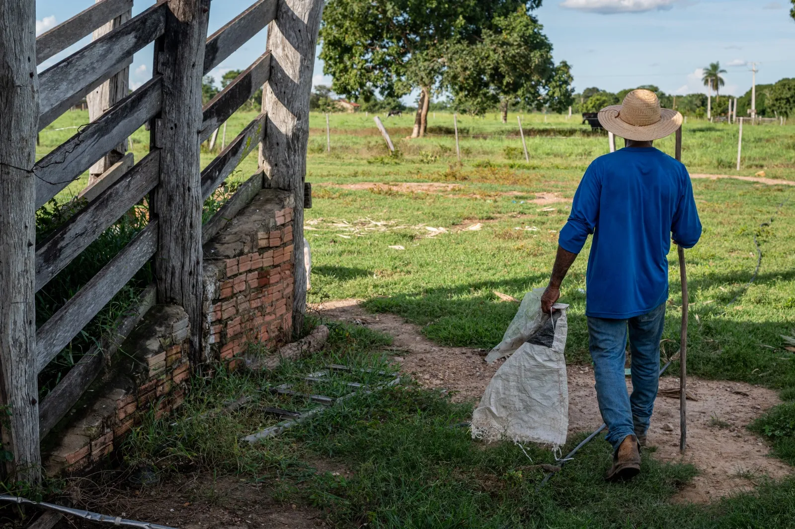 Apoio à agricultura familiar é reforçado com investimentos de R$ 705 milhões em Mato Grosso