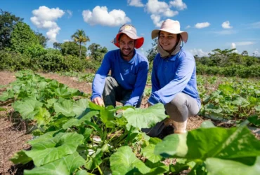 Com investimento de R$ 21,4 milhões, edital prevê benefício de R$ 6 mil por família com 100% de subsídio. Seaf e Empaer atuam para garantir que pequenos produtores não percam o prazo de inscrição.