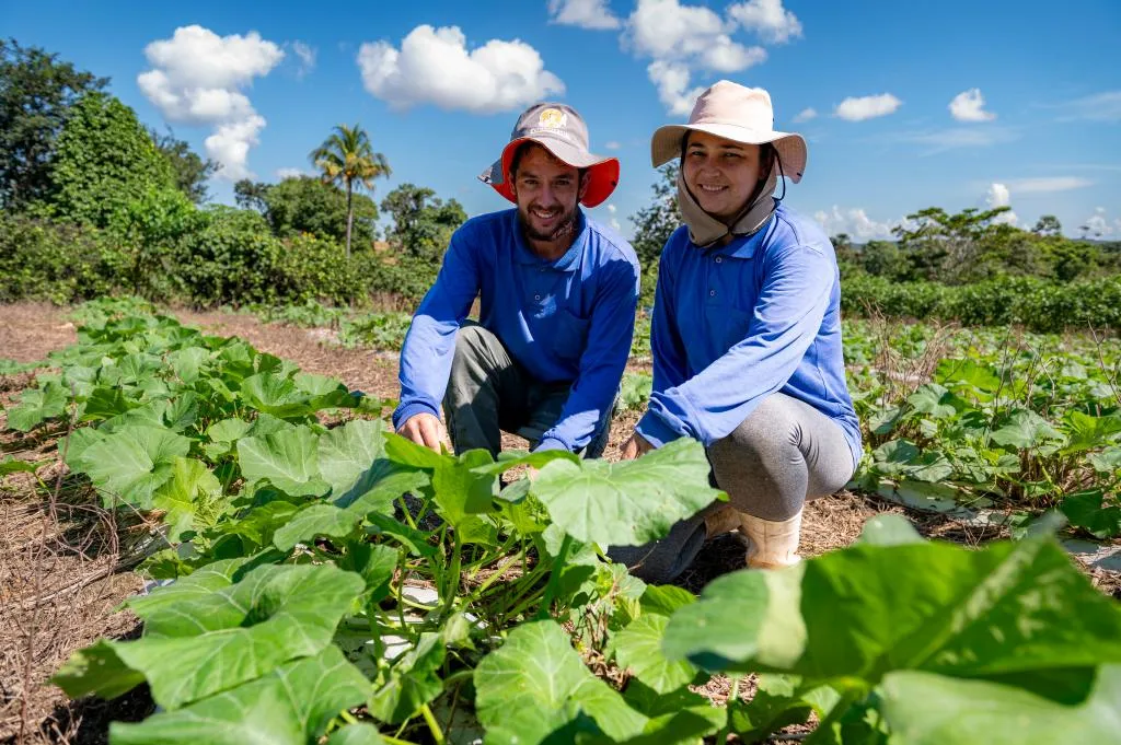 Com investimento de R$ 21,4 milhões, edital prevê benefício de R$ 6 mil por família com 100% de subsídio. Seaf e Empaer atuam para garantir que pequenos produtores não percam o prazo de inscrição.