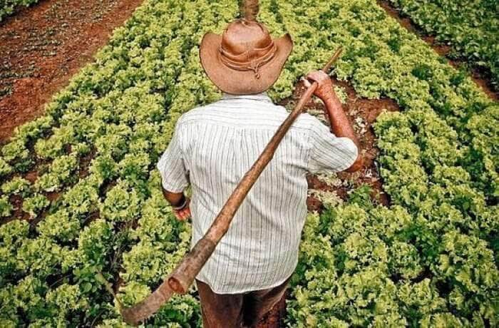 Incra recebe prazo da justiça para regularizar terras e assentar comunidades quilombolas em Mato Grosso