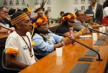 Liderancas indigenas de Mato Grosso levam a Brasilia pauta urgente por demarcacao e fim de mesa no STF -CenárioMT